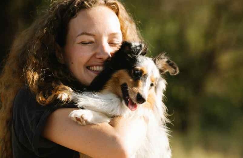 Votre niveau d’énergie et votre disponibilité Cause Animale